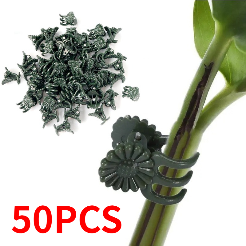 50 Buah Penjepit Tanaman Hijau - Florist Supply Bulk ulasan dan harga