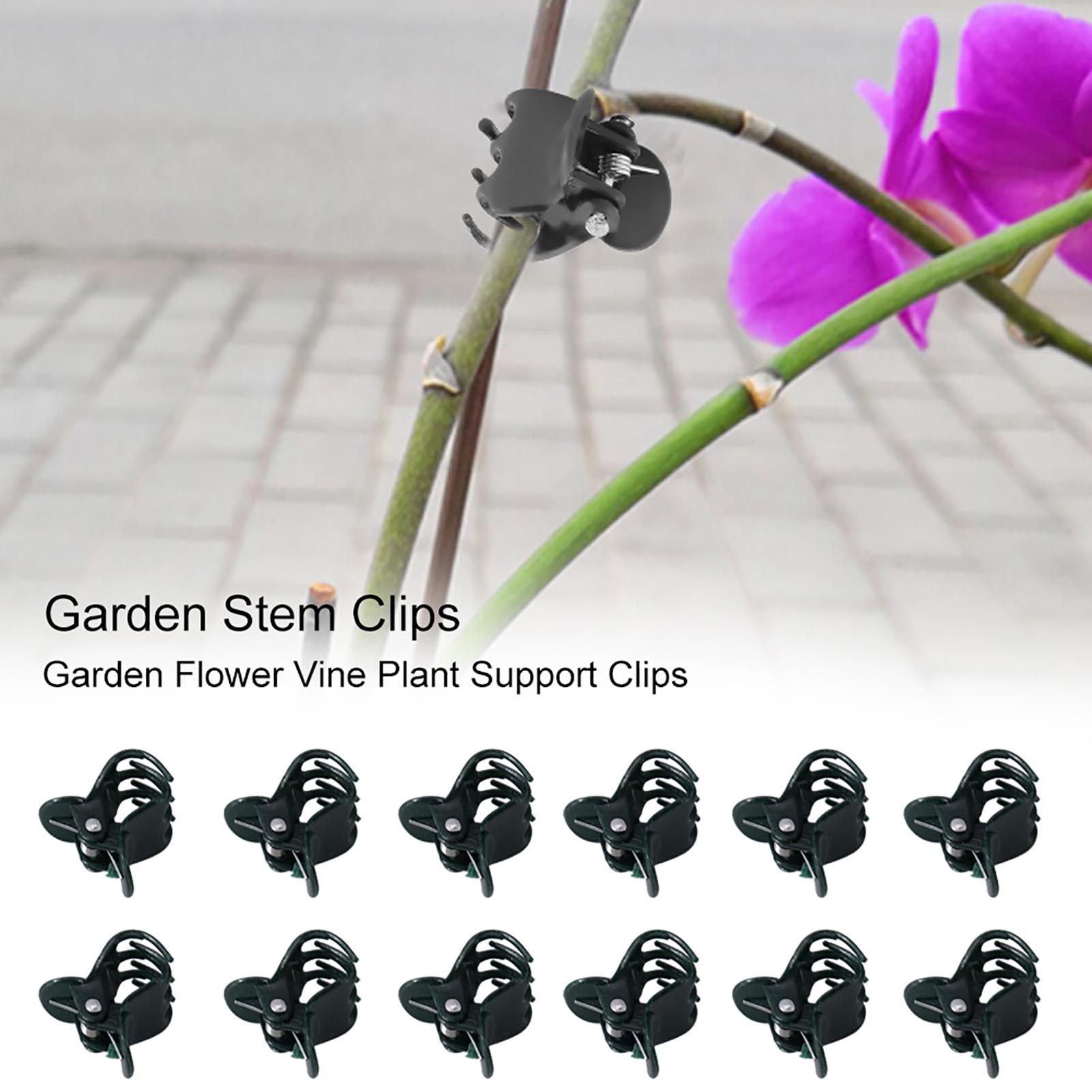 Klip Tanaman Mini 100 buah, pe - Florist Supply Bulk ulasan dan harga