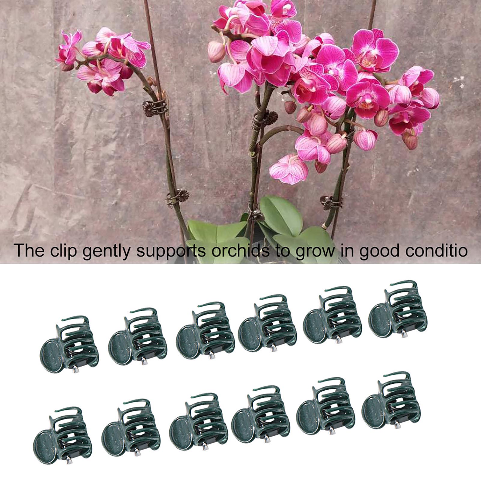 Klip Tanaman Mini 100 buah, pe - Florist Supply Bulk ulasan dan harga