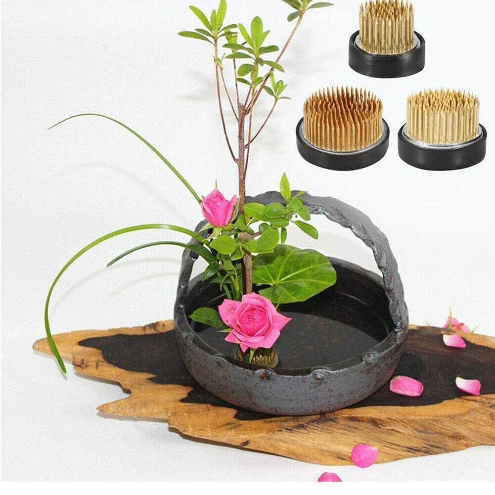 Katak bunga Ikebana bulat deng - Flower Frog Pin ulasan dan harga