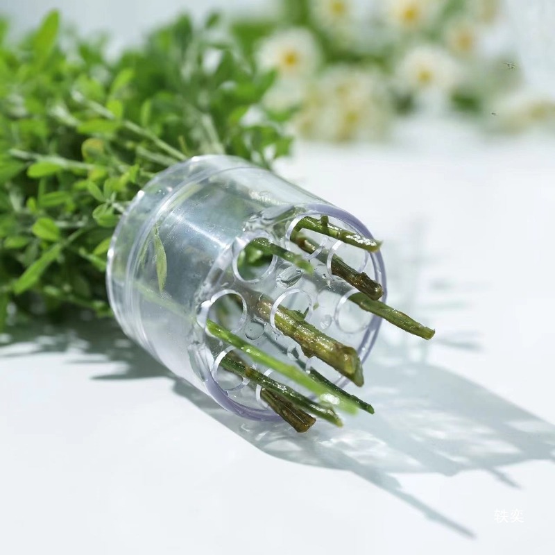 Pemegang Batang Spiral Pemegan - Florist Supply Bulk ulasan dan harga